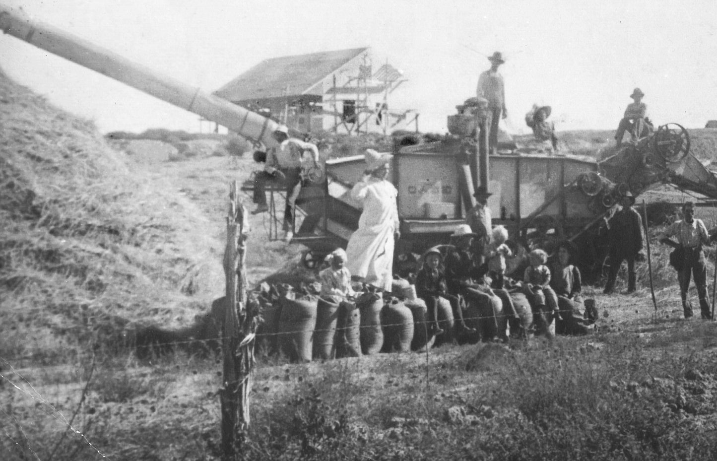 NOLA - Oversized Bomberjas